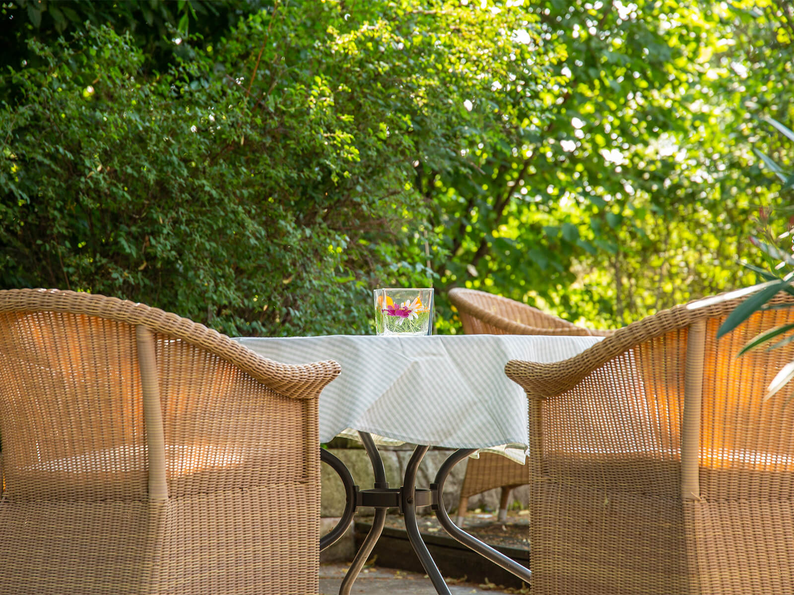 Detailaufnahme von einer Vase mit Wasser mit Blumen auf einem Tisch