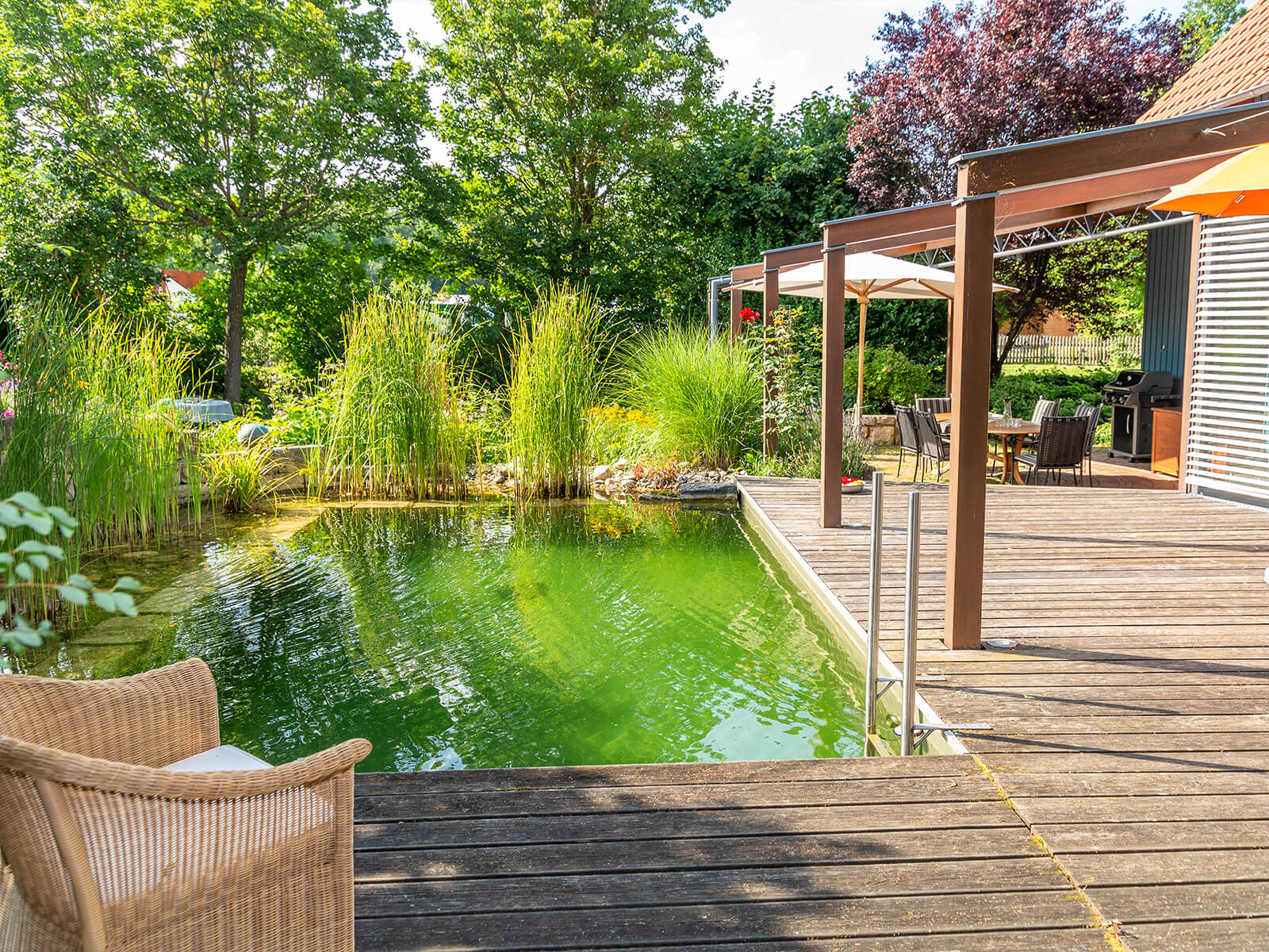 Blick auf grüne Sträucher neben einem Naturpool und einer Holzterrasse