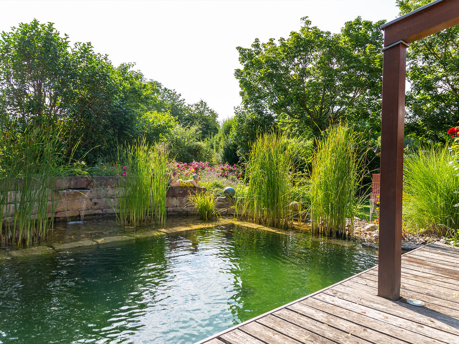 Blick auf einen Bio Pool neben einer Holzterrasse